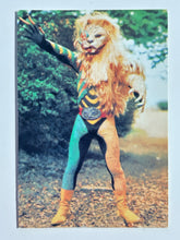 Cargar imagen en el visor de la galería, Kamen Rider - Kumo Lion - Trading Card - No. 380
