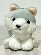 Load image into Gallery viewer, Uru-chan Standard Plush Toy "Fluffy Wolf"
