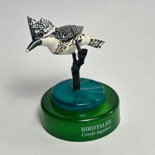 Cargar imagen en el visor de la galería, Crested kingfisher (Megaceryle lugubris) - Mini Figure - Bottle Cap
