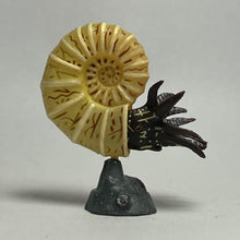 Cargar imagen en el visor de la galería, Pachydiscus - Trading Figure - Miniature (017)

