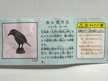 Load image into Gallery viewer, Northern nutcracker - Trading Figure - Miniature (133)
