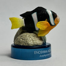 Cargar imagen en el visor de la galería, Clark's anemonefish / Amphiprion clarkii - Mini Figure - Bottle Cap
