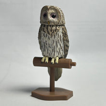 Cargar imagen en el visor de la galería, Owl / Strix Uralensis - Trading Figure - Miniature (4)
