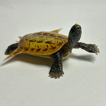 Load image into Gallery viewer, Sinemys Gamera - Trading Figure - Miniature (018)
