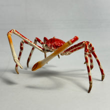 Cargar imagen en el visor de la galería, Spider crab - Trading Figure - Miniature - 155
