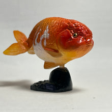 Cargar imagen en el visor de la galería, Ranchu - Trading Figure - Miniature - 020 P10-B
