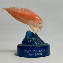 Cargar imagen en el visor de la galería, Rough Snailfish - Trading Figure - Miniature (9)
