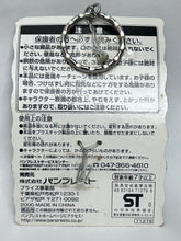 Cargar imagen en el visor de la galería, Digimon Adventure 02 - Armadimon &amp; Digmon - Evolution Keyholder
