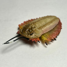 Load image into Gallery viewer, Trilobite - Trading Figure - Miniature (067)

