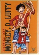 Cargar imagen en el visor de la galería, One Piece - Monkey D. Luffy - Clear File (Set)
