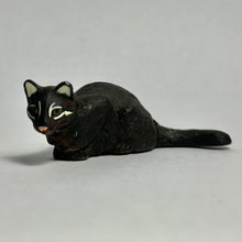 Load image into Gallery viewer, Iriomote Cat - Trading Figure - Miniature (019)
