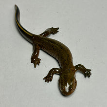 Load image into Gallery viewer, Kasumi Salamander - Trading Figure - Miniature (162)
