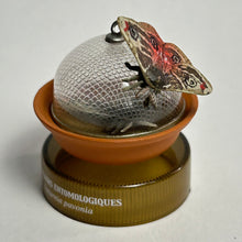 Cargar imagen en el visor de la galería, Japanese Emperor Moth (Saturnia Pavonia) - Mini Figure - Bottle Cap
