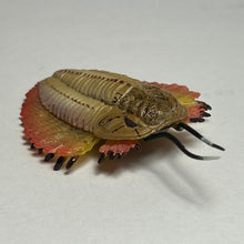 Load image into Gallery viewer, Trilobite - Trading Figure - Miniature (067)
