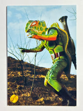 Cargar imagen en el visor de la galería, D03: Kame Bazooka - Kamen Rider - Trading Card
