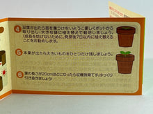 Load image into Gallery viewer, Mitsuya Cider Vegetable Gardening Set - Carrots

