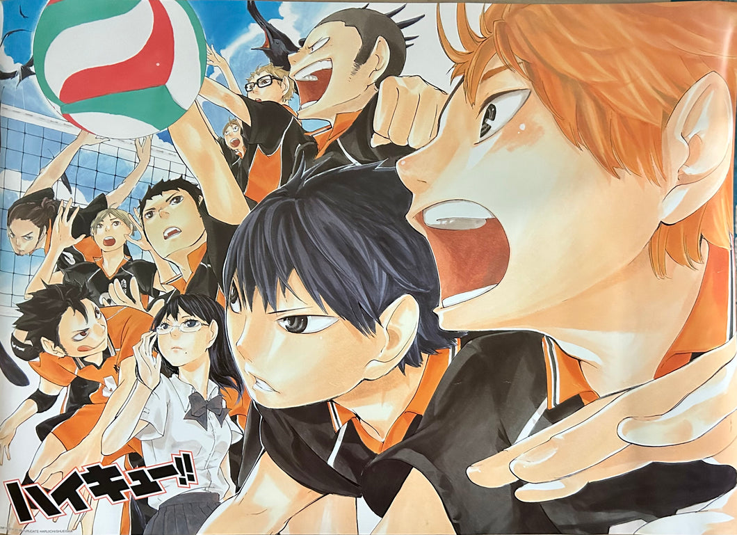 Haikyuu!! - Karasuno High - B2 Poster - Jump Festa 2013