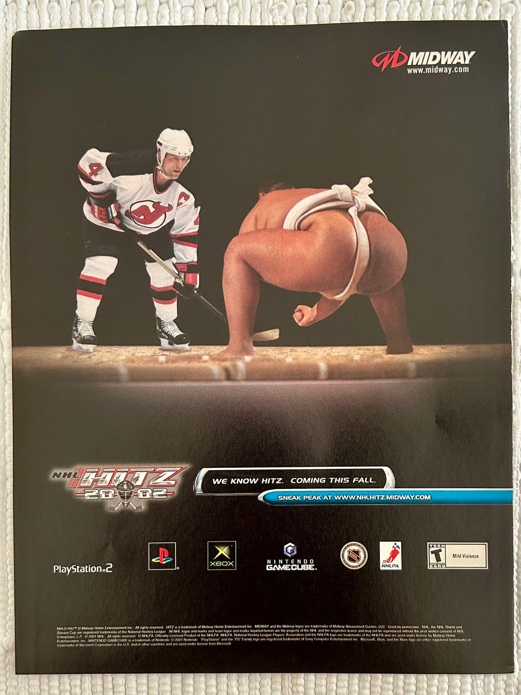 NHL Hitz 2002 - PS2 NGC Xbox - Original Vintage Advertisement - Print Ads - Laminated A4 Poster