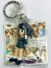 Cargar imagen en el visor de la galería, Sentimental Graffiti Complete Figure Keychain Set (10 PCS)
