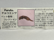 Cargar imagen en el visor de la galería, Dachshund - Trading Figure - Miniature - 026
