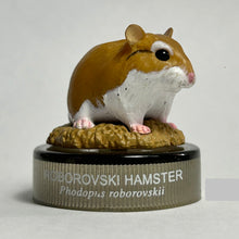 Load image into Gallery viewer, Roborovski Hamster - Figure - Bottle Cap (09)
