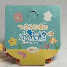 Load image into Gallery viewer, Starfish - Round-Eyed Aquarium Petite Mascot BC
