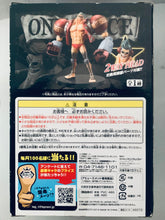 Load image into Gallery viewer, One Piece - Franky - The Grandline Men - vol 13
