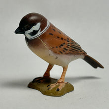 Cargar imagen en el visor de la galería, Tree Sparrow - Trading Figure - Miniature (167)
