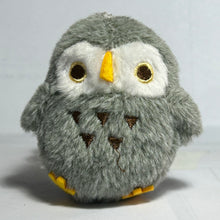 Cargar imagen en el visor de la galería, Chun Chun Little Bird BC Mascot - Owl
