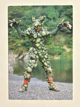 Cargar imagen en el visor de la galería, Kamen Rider - Cactus Monster - Trading Card - No. 681
