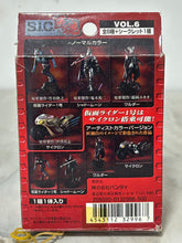 Cargar imagen en el visor de la galería, Kamen Rider - Kamen Rider Shin Ichigo - S.I.C. Takumi Damashii
