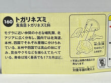 Cargar imagen en el visor de la galería, Shrew - Trading Figure - Miniature - 160

