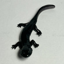Cargar imagen en el visor de la galería, Odaigahara salamander - Trading Figure - Miniature (103)
