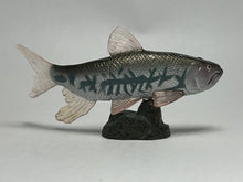 Cargar imagen en el visor de la galería, Opsariichthys uncirostris - Trading Figure - Miniature (157)
