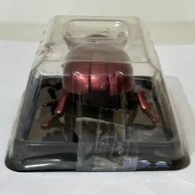 Cargar imagen en el visor de la galería, Bettle Wind-up Toy - Figure
