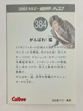 Cargar imagen en el visor de la galería, Kamen Rider - Go for it! Takeshi / Surface: Wilderness - Trading Card - No. 384
