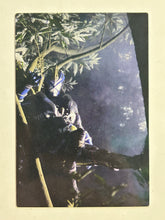 Cargar imagen en el visor de la galería, Kamen Rider Danki - Trading Card - No. 754
