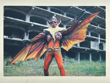 Cargar imagen en el visor de la galería, Kamen Rider - Dead Bat - Trading Card - No. 925
