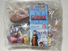 Load image into Gallery viewer, HGIF Series Gainax Heroines Collection (Set of 5)
