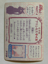 Cargar imagen en el visor de la galería, Sailor Moon R - Trading Card - TCG - Carddass (Set of 9)
