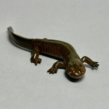 Load image into Gallery viewer, Kasumi Salamander - Trading Figure - Miniature (162)
