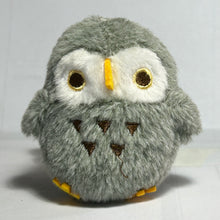 Cargar imagen en el visor de la galería, Chun Chun Little Bird BC Mascot - Owl
