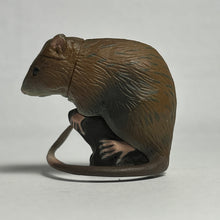 Load image into Gallery viewer, Ryukyu Spiny rat - Trading Figure - Miniature - 143
