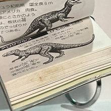 Cargar imagen en el visor de la galería, Dinosaur Illustrated Book - Encyclopedia - Miniature Book
