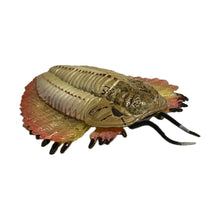 Load image into Gallery viewer, Trilobite - Trading Figure - Miniature (067)
