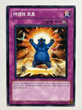 Load image into Gallery viewer, Yu-Gi-Oh! - DREV-KR065[N]: Roar of the Wild - TCG
