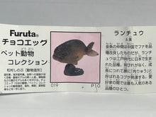 Cargar imagen en el visor de la galería, Ranchu - Trading Figure - Miniature - 019 P10-A
