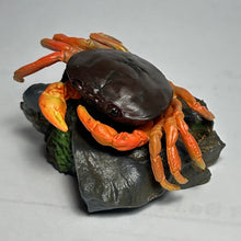 Load image into Gallery viewer, Sawagani / Freshwater Crab - Trading Figure - Minifigure
