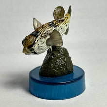 Load image into Gallery viewer, Pufferfish / Diodon holocanthus - Trading Figure - Miniature
