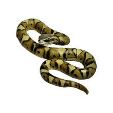 Load image into Gallery viewer, Japanese Mamushi (Pit viper) - Trading Figure - Miniature (134)

